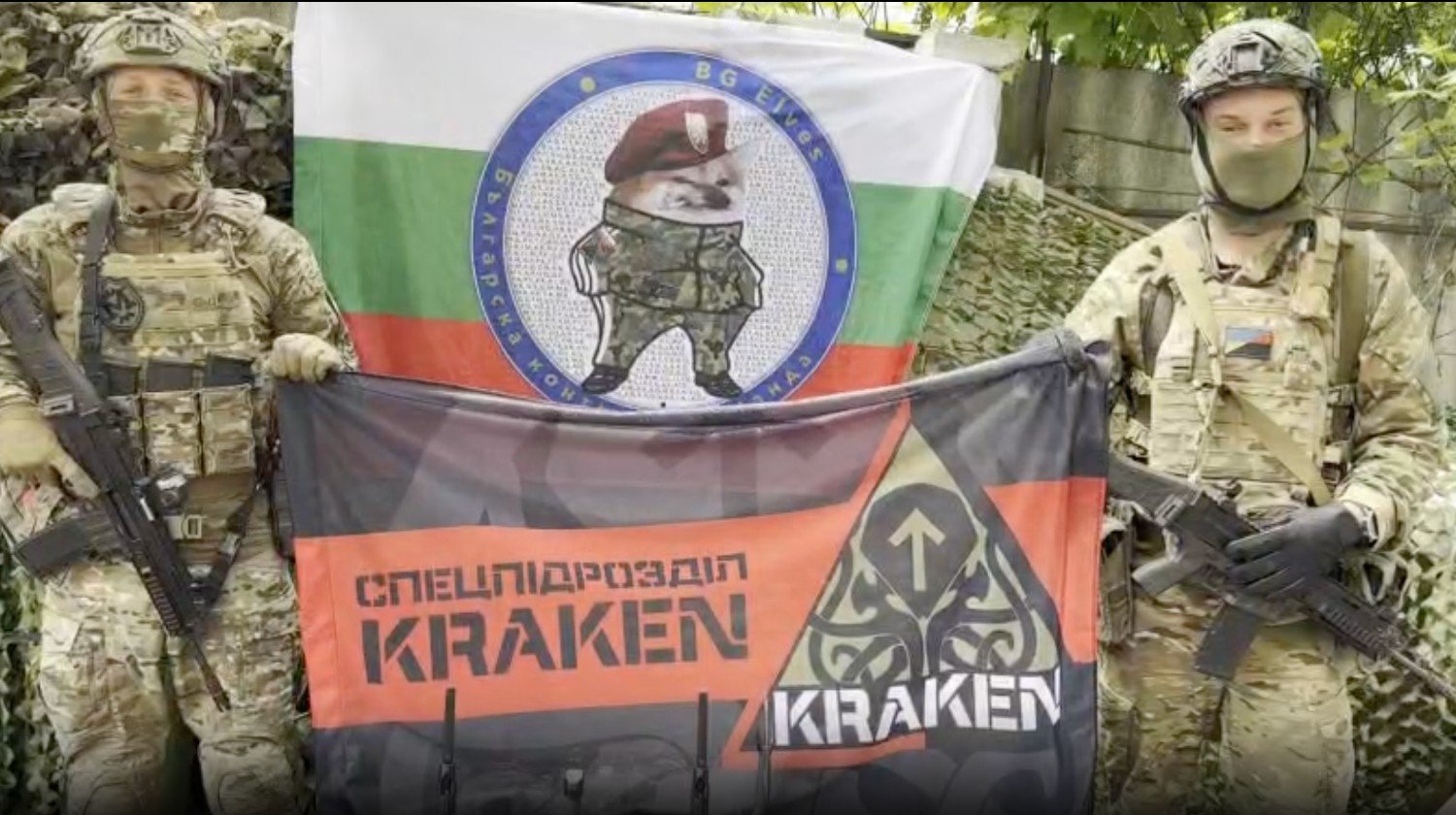 BG Elves campaign video thumbnail